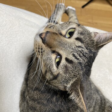 雨はだるくてねむい…みんなぁ〜、大丈夫〜、(( _ _ ))..zzzZZ
