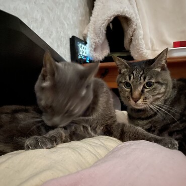 ぼくは大丈夫〜、雷ジイといっしょだから♡