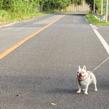 鴨川サンデッキにて朝散歩
