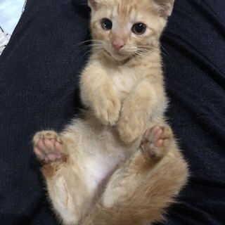 ありがとうございました！