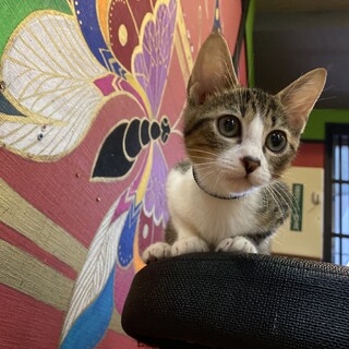 すりすりゴロゴロ☆こば