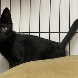 人慣れ練習中⭐︎ノリ吉