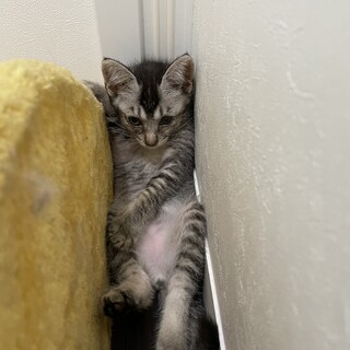 おてんば女の子♡