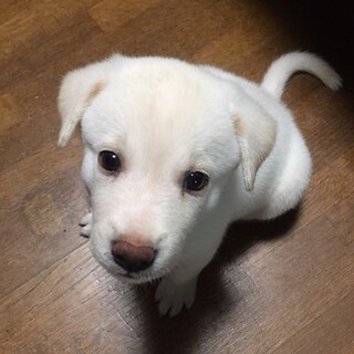 ありがとうございました★シンくん