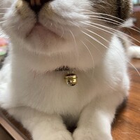 ソラ