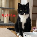 怖がり、でもナデナデ大好きの甘えたさん