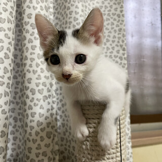 何故か水遊びが大好きな男の子