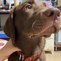 これから対応しますので応募締めます