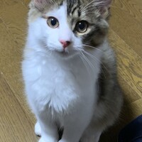 政宗