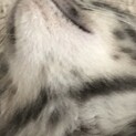 素敵な里親様が見つかりました！