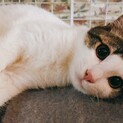 お目目まんまるの4ヶ月男の子
