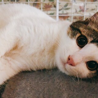 お目目まんまるの4ヶ月男の子