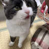 の写真