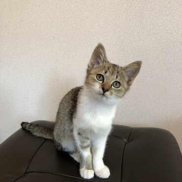 翌日、実家で。