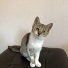 翌日、実家で。