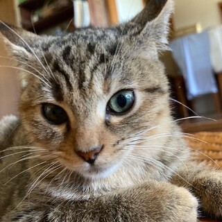 ずっとのおうちがみつかりました(^^)