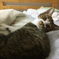 トライアル中！『クゥ』ちゃん♫