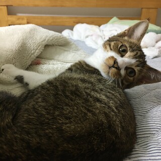 トライアル中！『クゥ』ちゃん♫