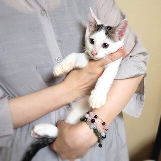 【トライアル決定】ピンクのお鼻がかわいい♡甘えん坊