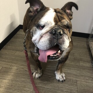 優しいロディちゃん♡