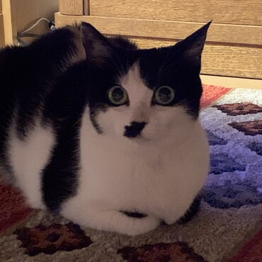 の写真