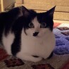 の写真