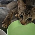 【交渉中一旦お問い合わせを停止します】