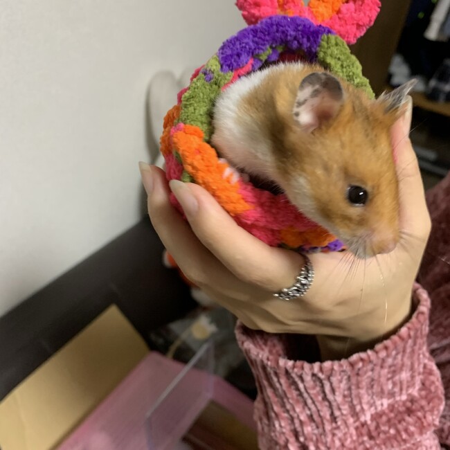 nakanatu0910のカバー写真