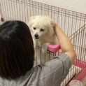 やさしい里親さん募集しています