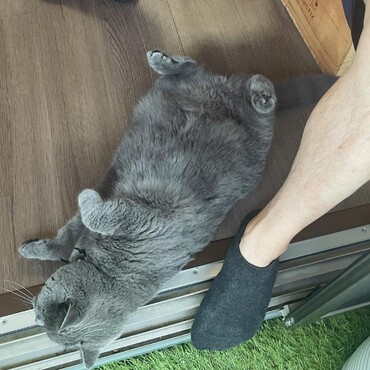 の写真