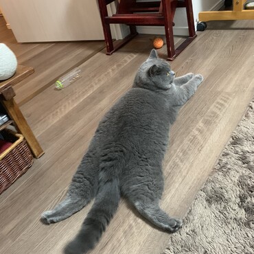 の写真