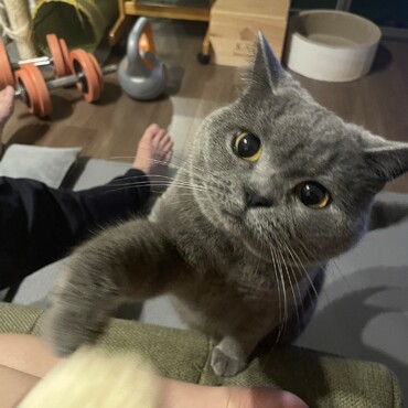 の写真