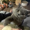 の写真