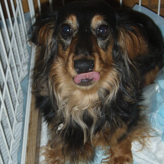 そらちゃんです