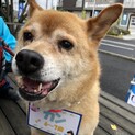 連続お手が得意技の『カンちゃん』