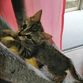 里親様が決まりました♥