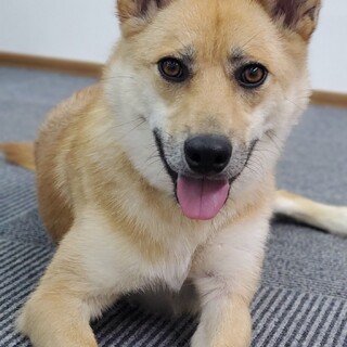 ご家族が決まりました！