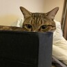 あ〜ちゃりぃ