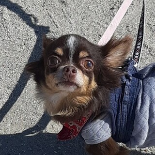 くりくりお目々がとっても可愛いィ♡めめちゃん