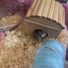 みっちゃんはっちゃん
