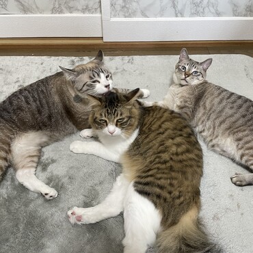 の写真