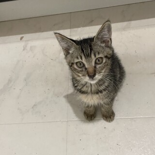 とってもかわいい男の子♡