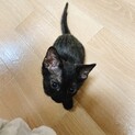 元気いっぱい、遊ぶの大好き！やんちゃな男の子