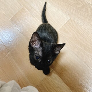 元気いっぱい、遊ぶの大好き！やんちゃな男の子