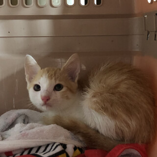 ありがとうございます！