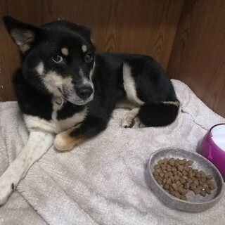 「すず」女の子