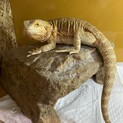 大事にして頂ける方