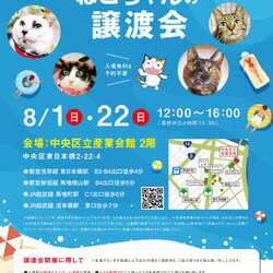 ねこざんまい譲渡会@東日本橋