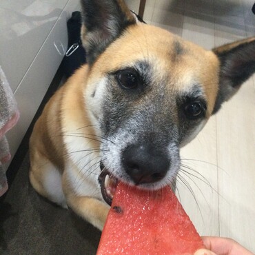 チョロいぜ