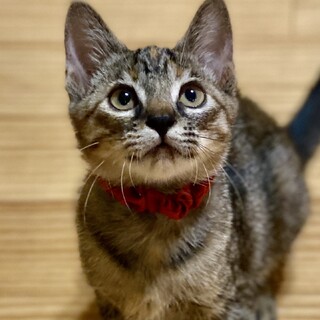 なぎさ♡家族ができました